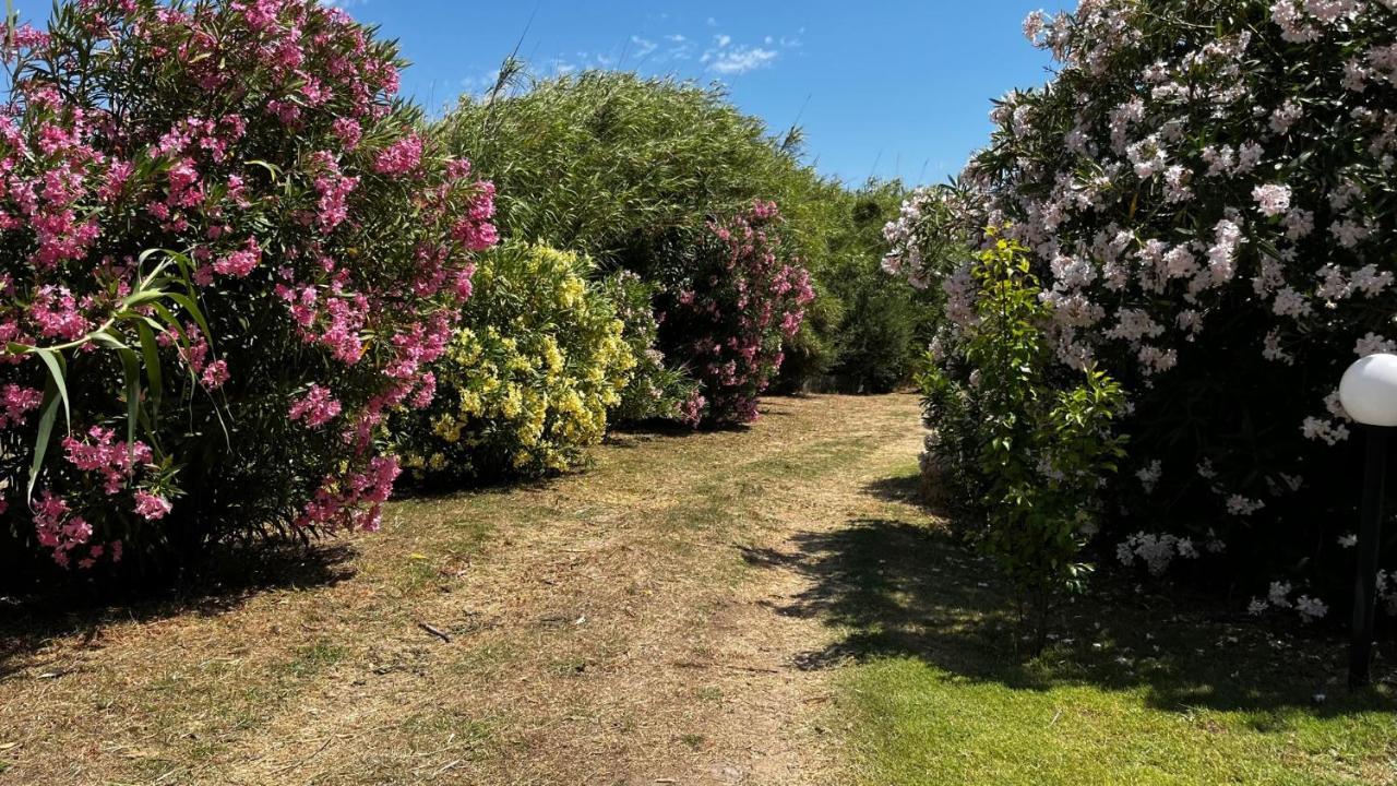 Hotel Frassetto Santa Teresa Gallura Luaran gambar